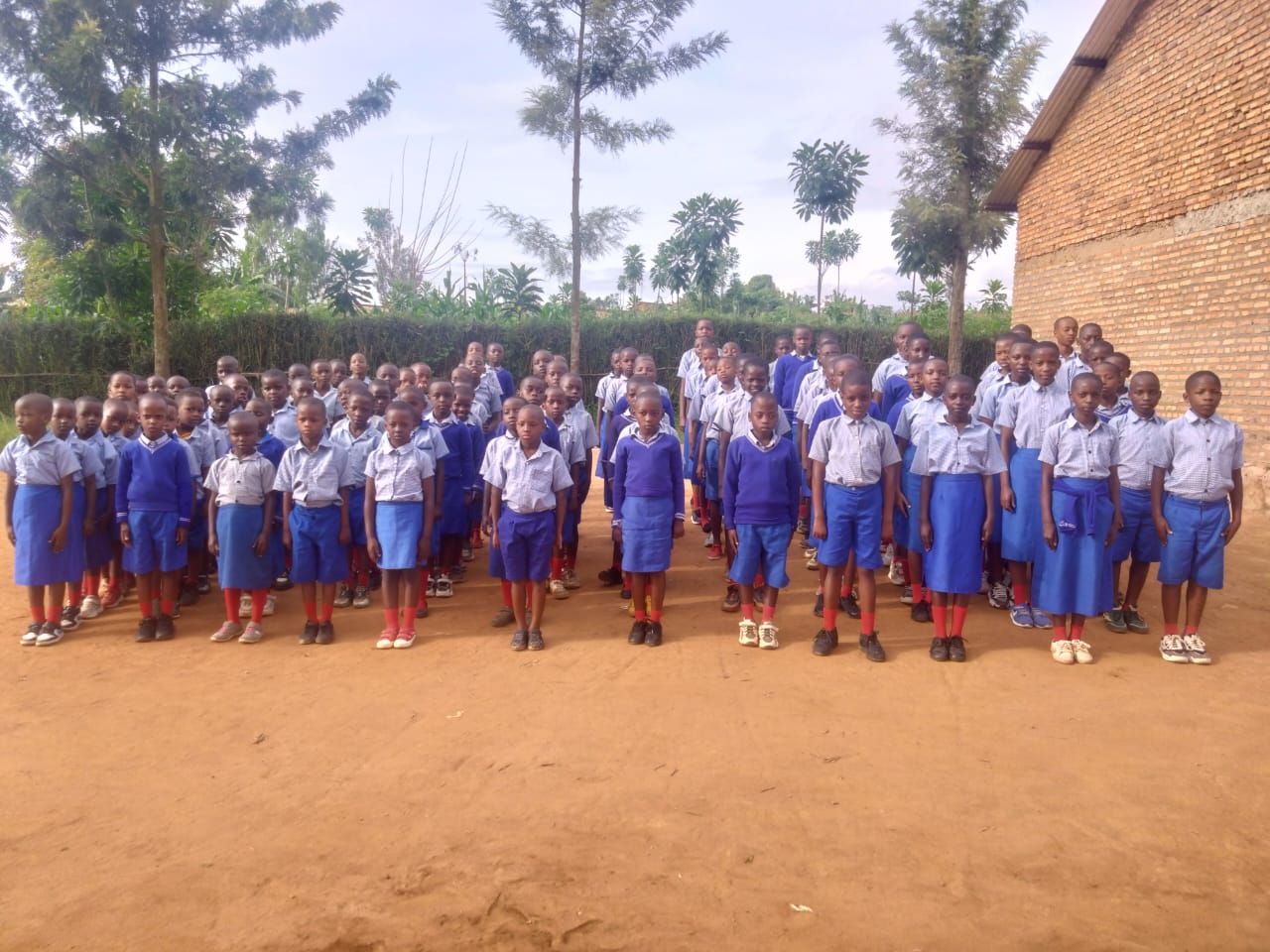 Primary School Students